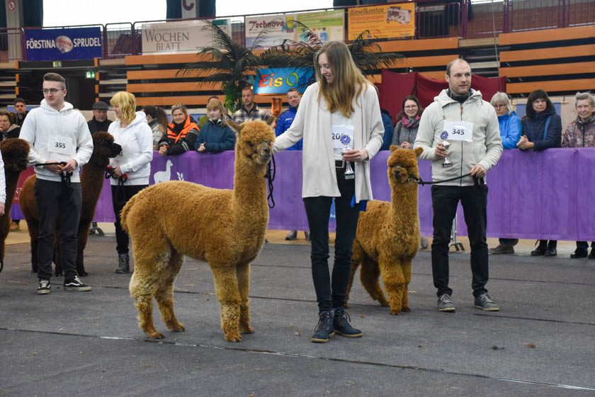 2023-04-08_Alpaka-Show (72 von 76)