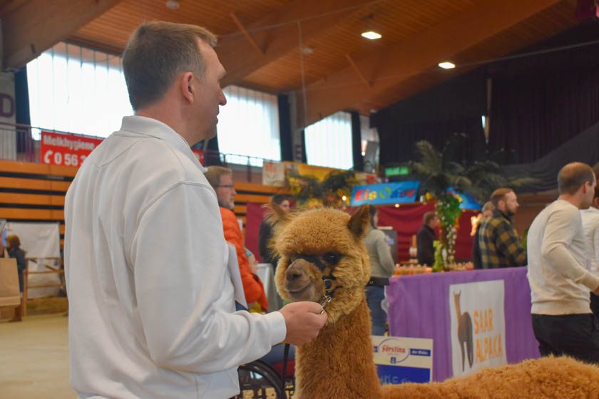 2023-04-08_Alpaka-Show (73 von 76)