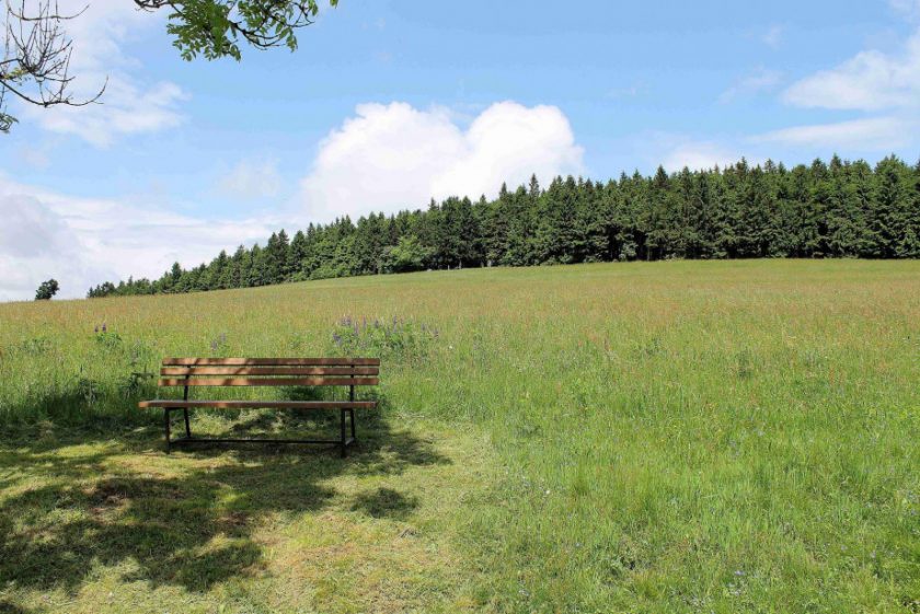 Ein Aussichtsturm wird zum Zankapfel - Oberhessen-Live