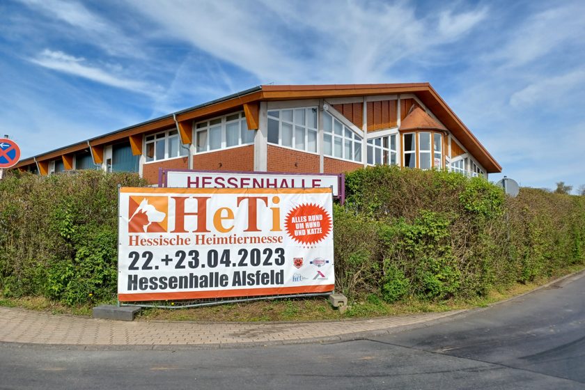 HeTi23-46