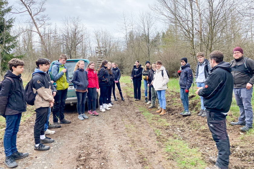Schülerinnen und Schüler unterstützen im Wald beim Entfernen von