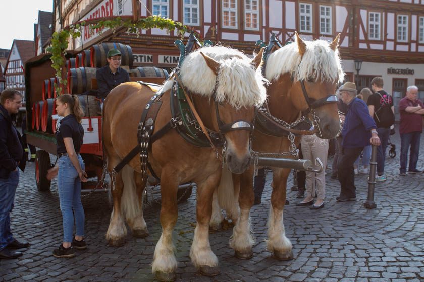2023-05-26_Pfingstmarkt_Freitag (5 von 99)