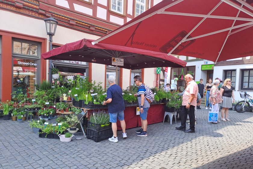 Kräuter- und Märchentag 23-28