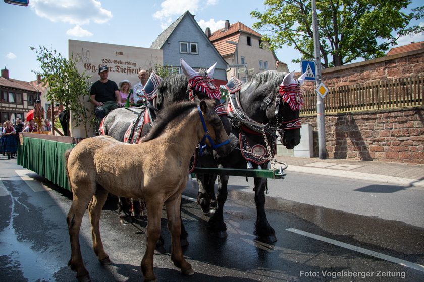 2023-07-08 Schlitz_Trachtenfest_Zug_050