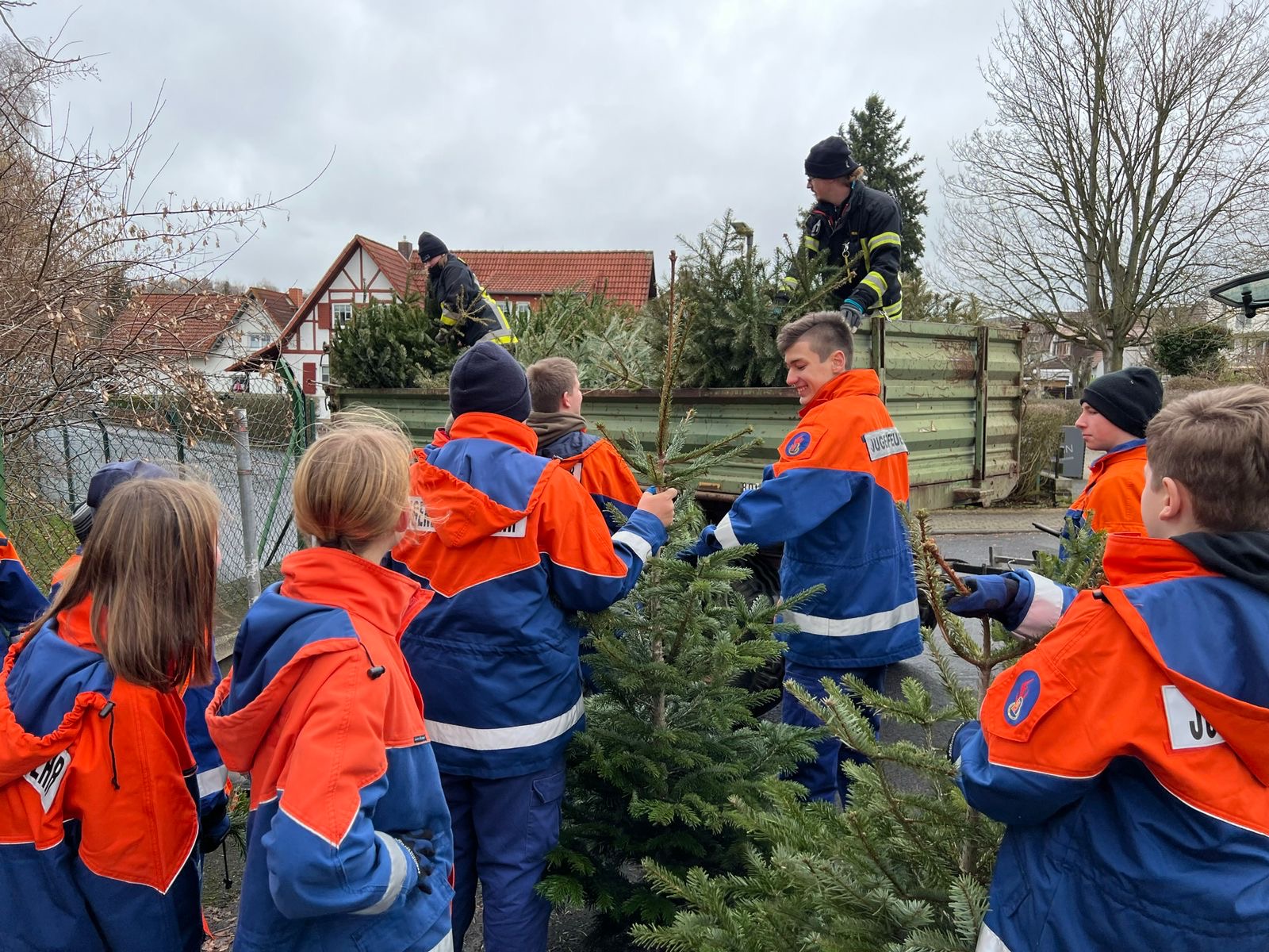 Weihnachtsbäume