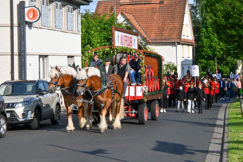 Pfingstmarkt_2025-34