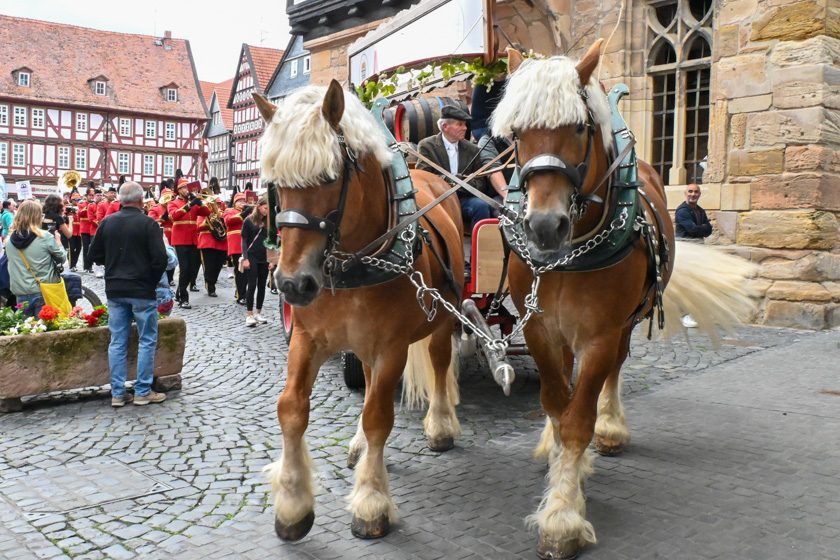 Pfingstmarkt_2025-46