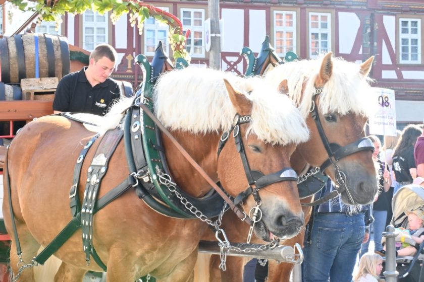 Pfingstmarkt_2026_Eröffnung_ (25)